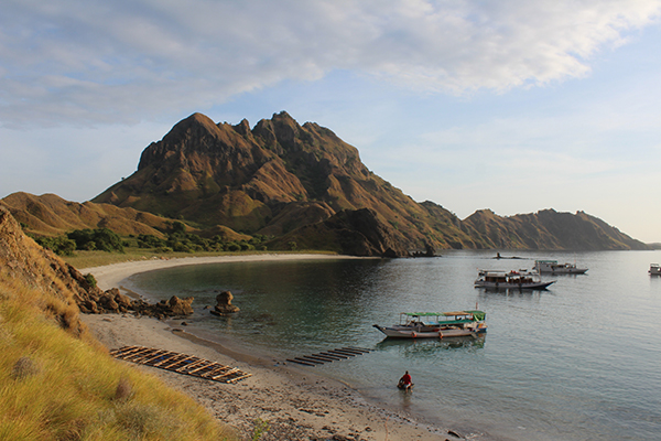 Komodo Boat Tour 3 Days 2 Nights