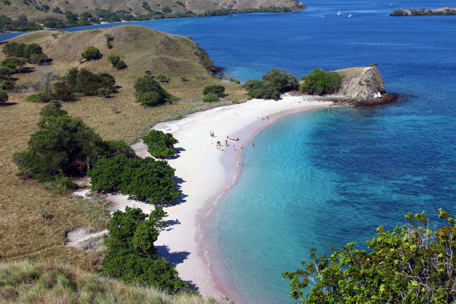 Komodo Boat Tour 3 Days 2 Nights