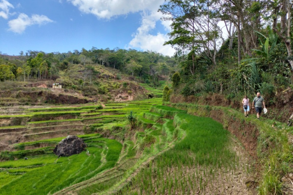 Discover the highlight of FLores Island in Indonesia.