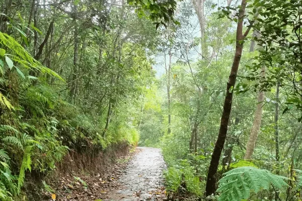 Discover the highlight tour of Flores Island in 6 days 5 night