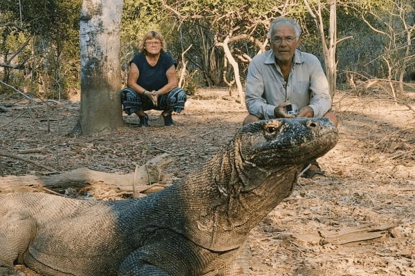 Komodo Boat Tour Pakages 3 Days 2 Night in Indonesia