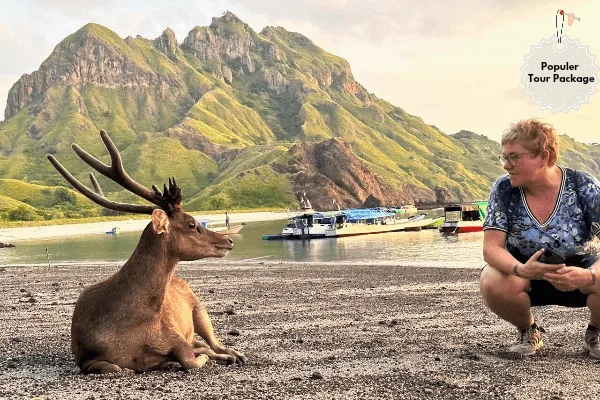 Komodo Tour Packages 4 days 3 nights liveaboard