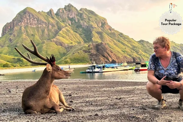 Tour Packages to Flores And Komodo Island in Indonesia
