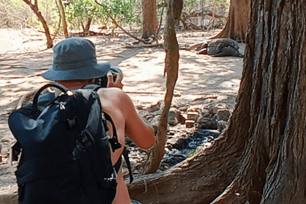 Komodo Tour 2 days 1 night in Indonesia