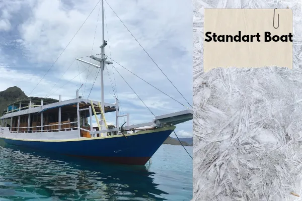 Boat Options to Komodo Island Indonesia