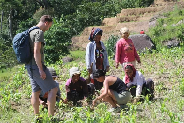 Highlight attractions to do on Flores Island, Indonesia