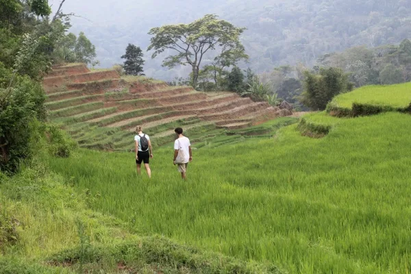 Highlight attractions to do on Flores Island, Indonesia