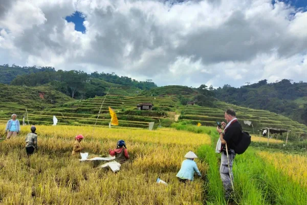 Highlight attractions to do on Flores Island, Indonesia