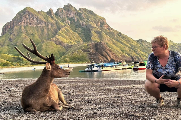 Komodo island tour in Indonesia