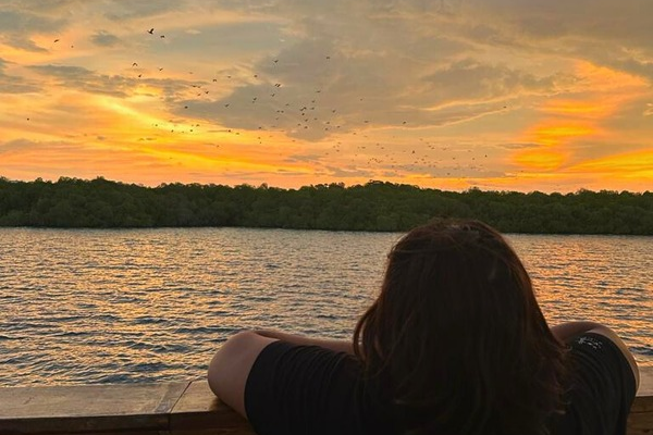 Komodo island tour in Indonesia