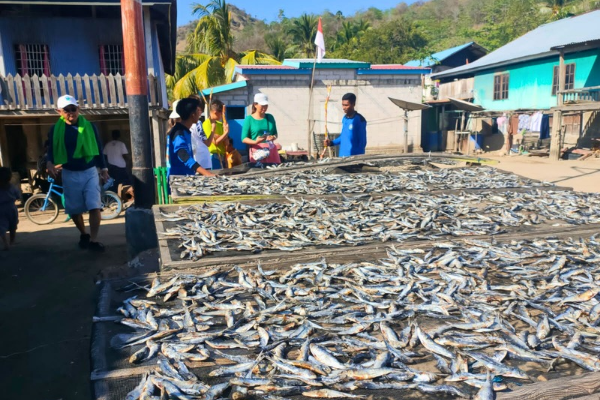 Komodo tour 4 days 3 nights privat tour in Indonesia