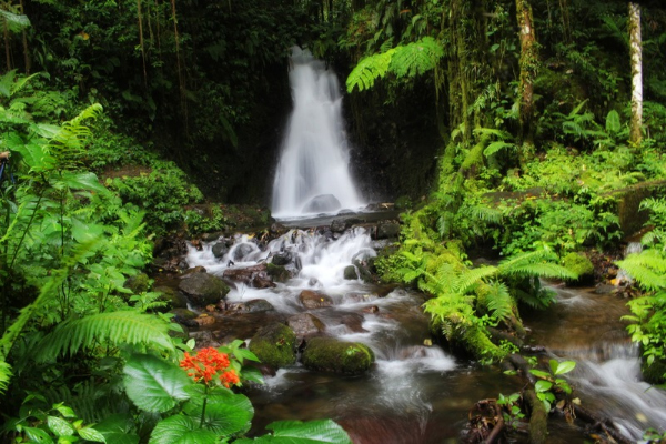 Worth things to do in Ruteng on Flores Island, Indonesia