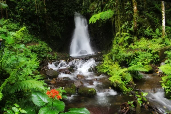 What you have to do in Ruteng, Flores Indonesia?