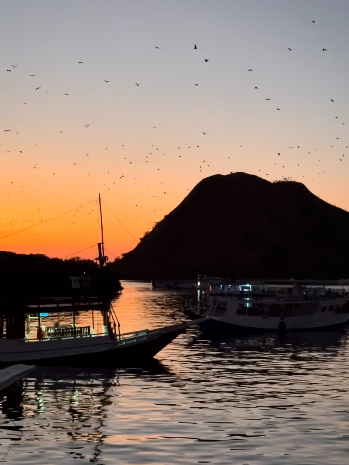 Advennture to komodo island in Indonesia