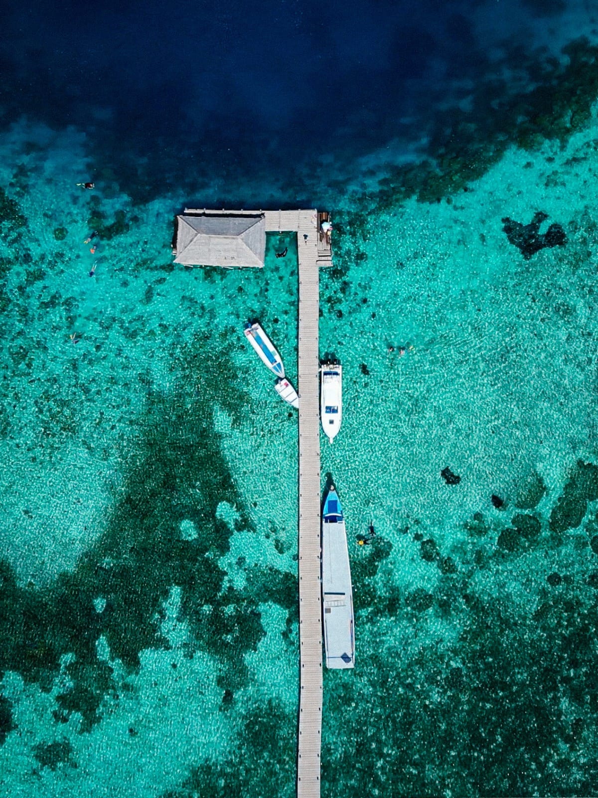 Advennture to komodo island in Indonesia