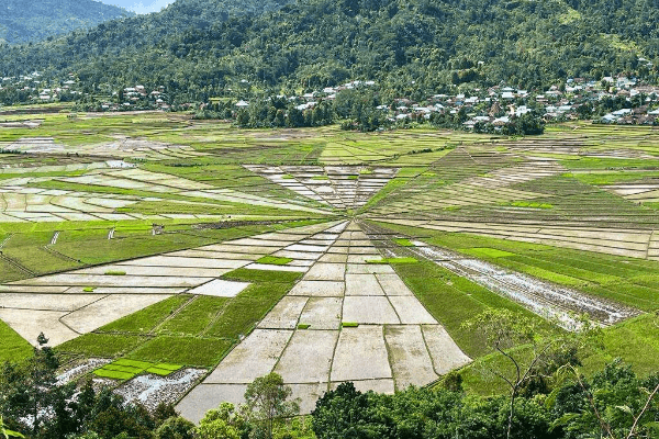 Spiderweb Ricefield & Golorenda walking trail tour