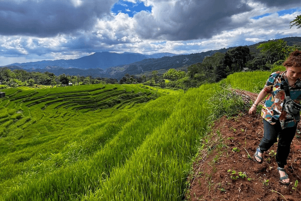 Spiderweb Ricefield & Golorenda walking trail tour
