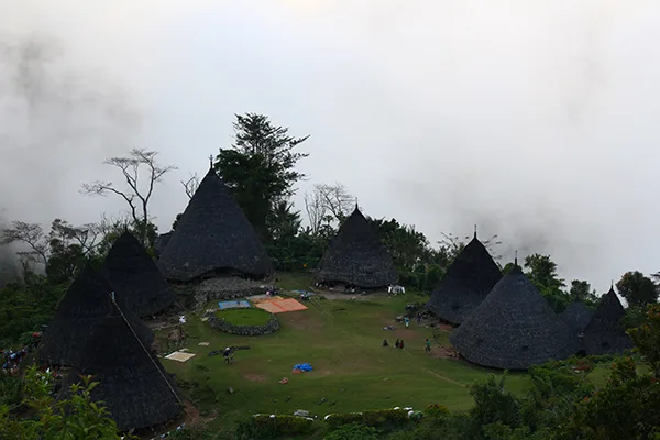 Waerebo Village Visitor Guide: Routes, Accommodation, and Latest Fee Breakdown