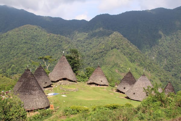 Waerebo tour package from ruteng in flores island indonesia