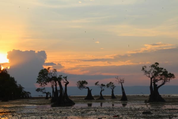 Sumba island overland tour 5 days 4 nights in indonesia