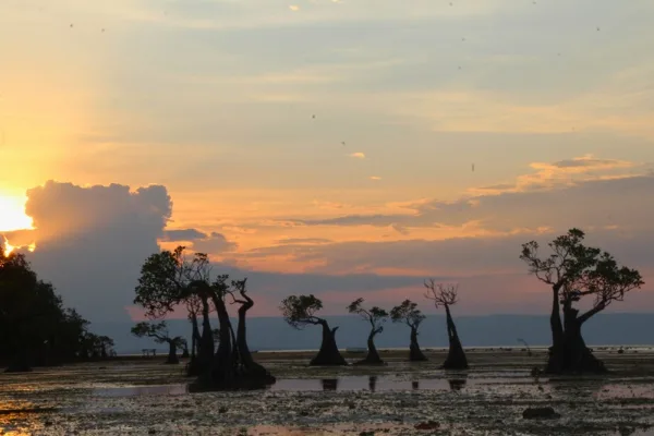 Sumba island overland tour 5 days 4 nights in indonesia
