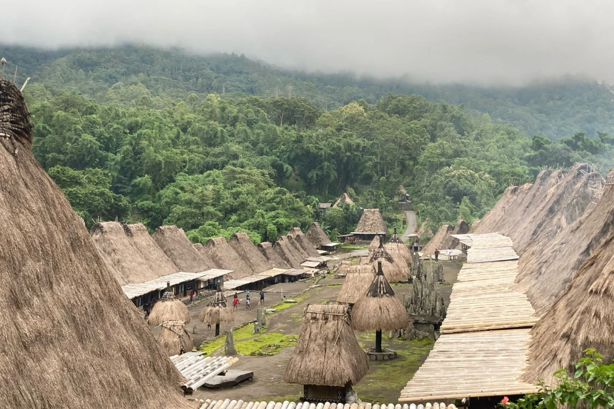 Travel to Flores & Komodo island with local tour organizer