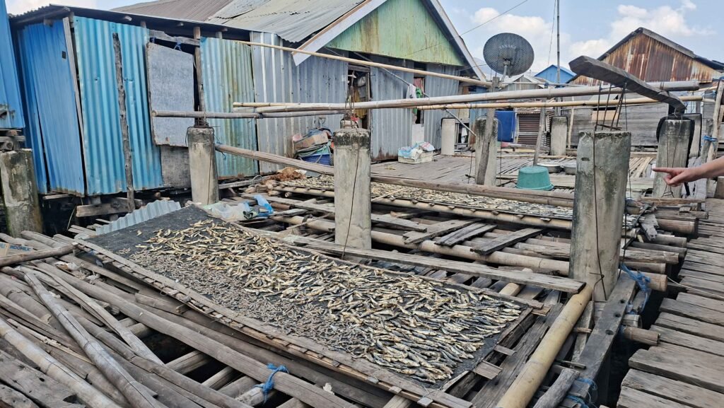 Local residents drying fish in the traditional fishing community of Wuring, Flores