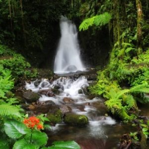 Ruteng, Flores: Get Ready for an Awesome Gateway in a Chilled-Out City!