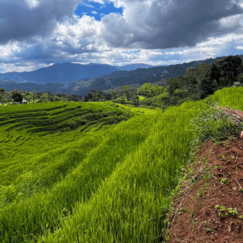 Ruteng Tour Packages