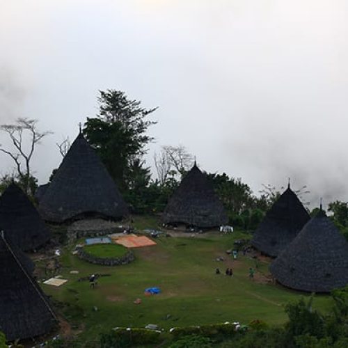 Waerebo Village Visitor Guide: Routes, Accommodation, and Latest Fee Breakdown